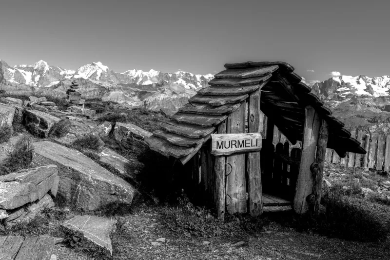 Chain Seven Cantons in Ten Days: The Art of Building a Seamless Swiss Hiking Loop